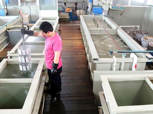 高精密机械加工阳极氧化