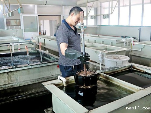 精密机械加工阳极氧化